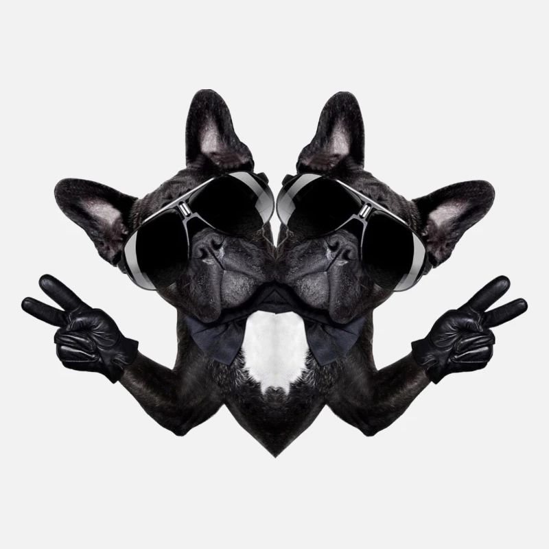 Chien abstrait