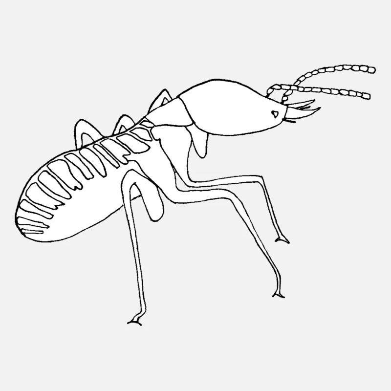 Termite Soldier