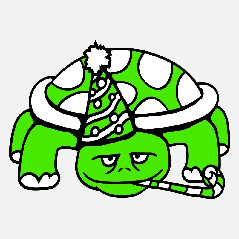 Turtle Birthday Party Hat Years Old