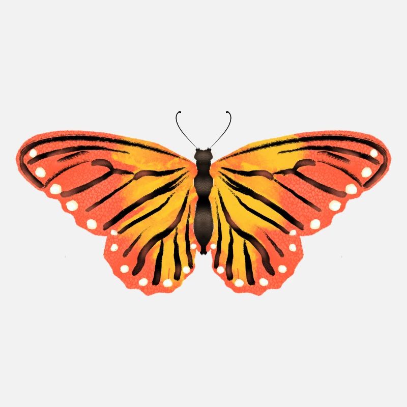 Schmetterling