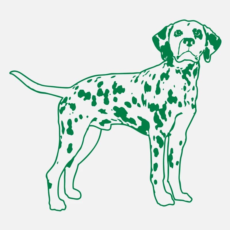 Dalmatian de