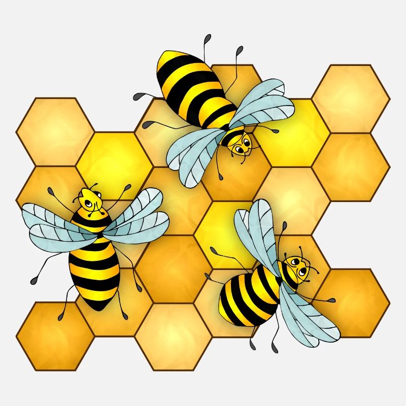 Insects