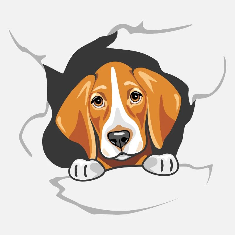 Un foxhound jette un coup d’œil à travers le papier déchiré
