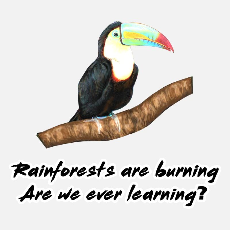Rainforests are burning