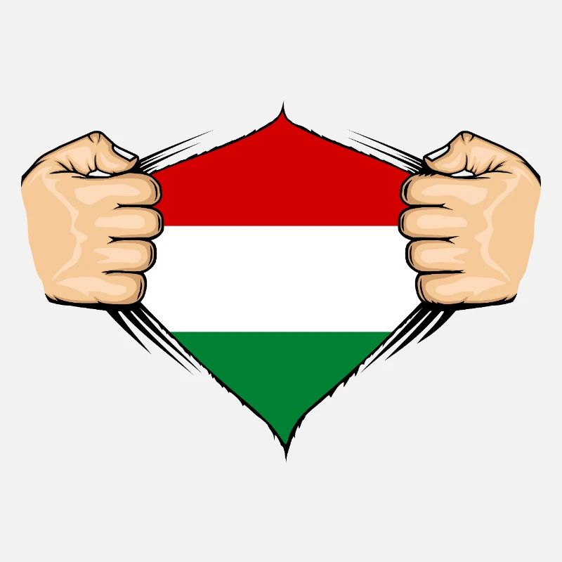 Conception du drapeau de la Hongrie