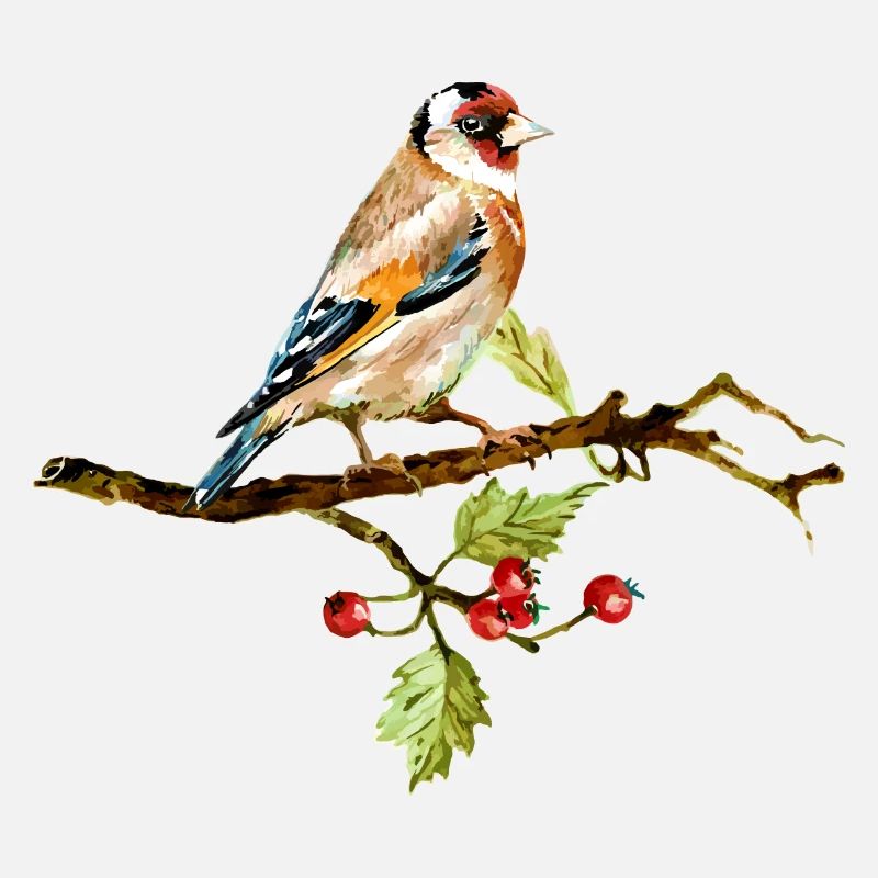 oiseau