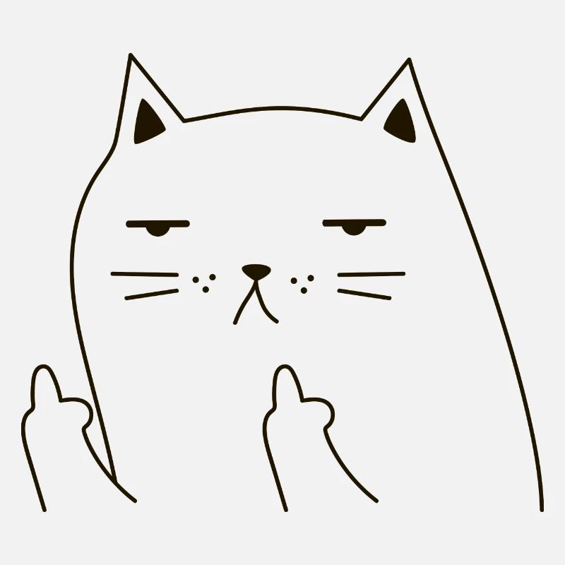 Katze Kater Mittelfinger Geste