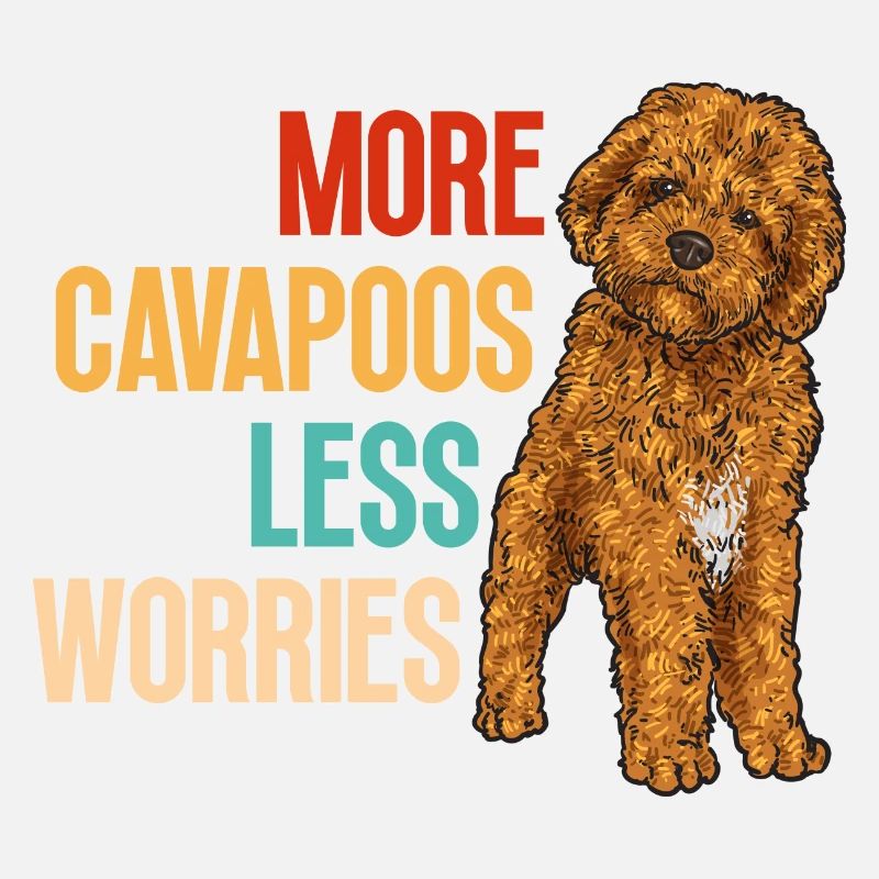 Cavapoo Cavoodle Capoodle Chien