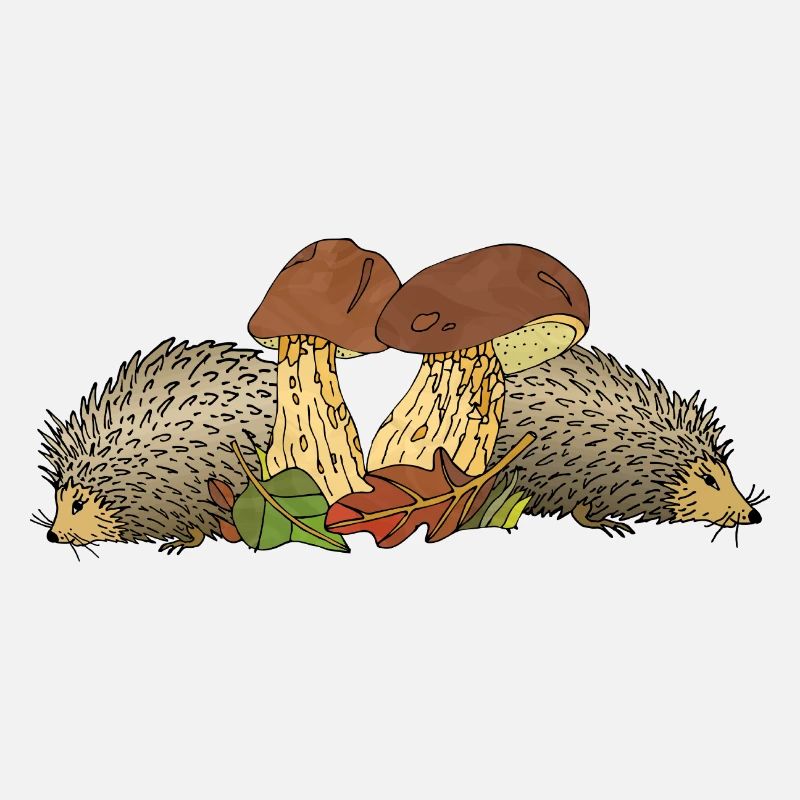 Igel