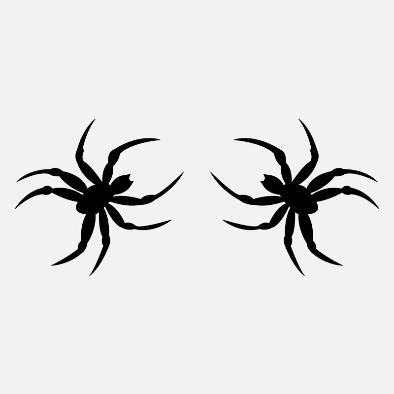 spinne02