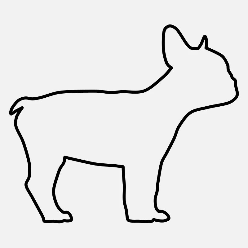 Contours du bouledogue anglais 1
