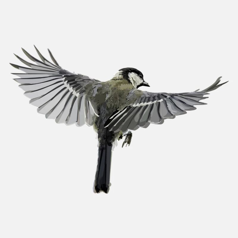 oiseau