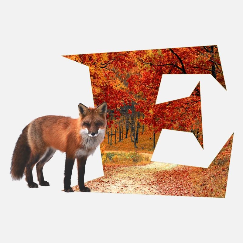 e forêt d'automne avec renard