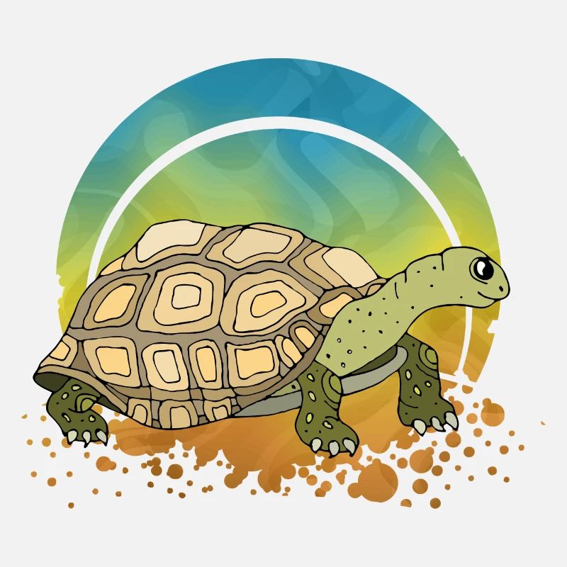 Tortoise
