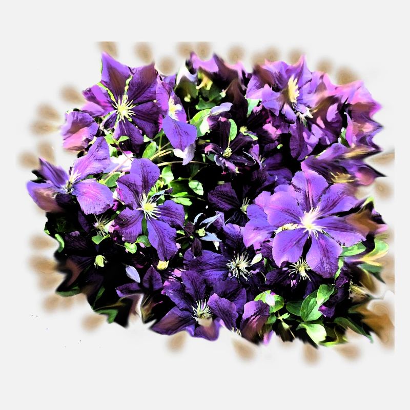 lila Blumen Wiese