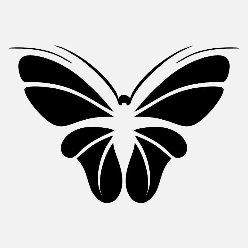 butterfly