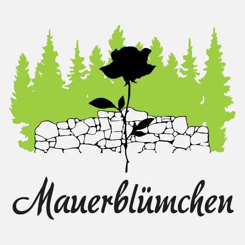 Mauerblmüchen die Schüchternheit