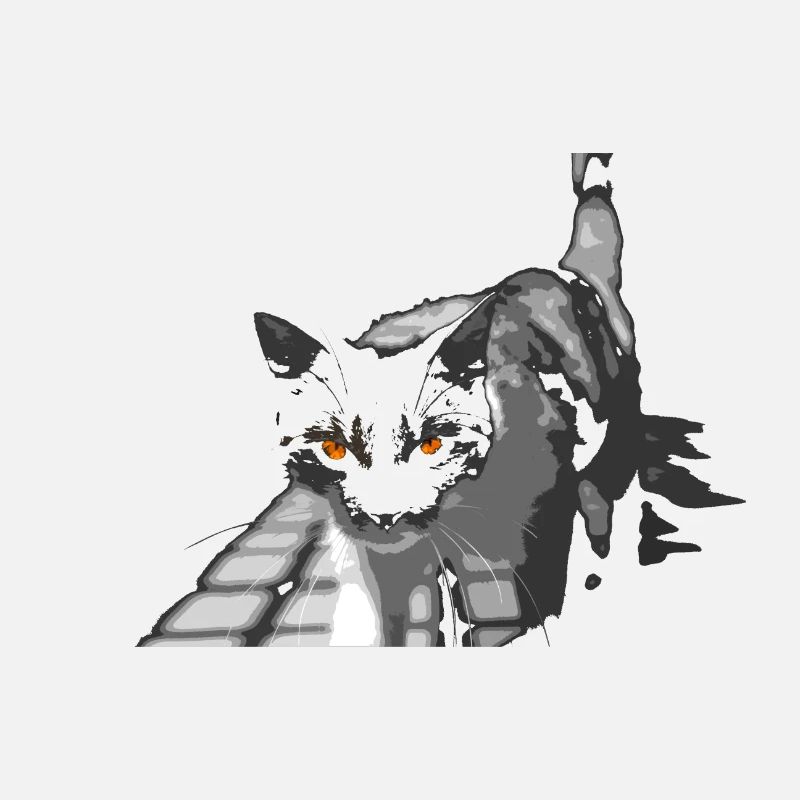 l'étrange chat