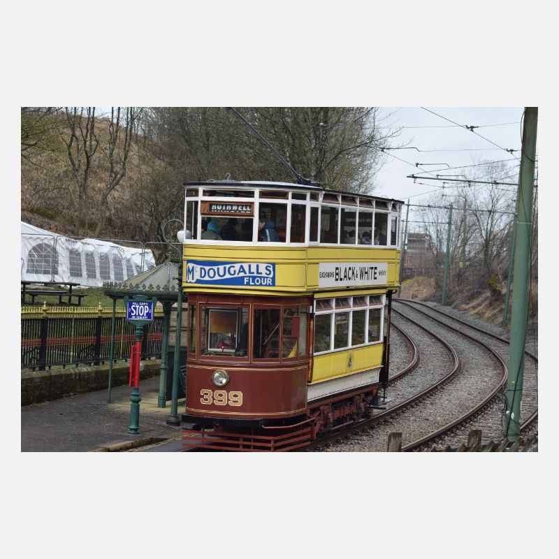 Trams