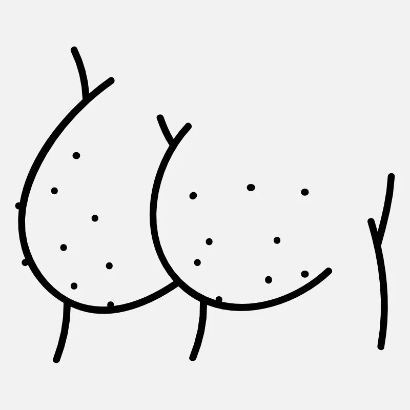 Arsch