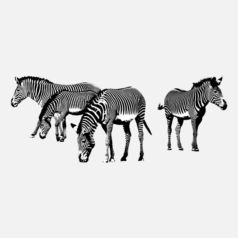 Zebras