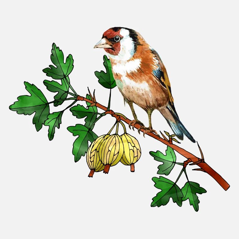 Oiseau coloré