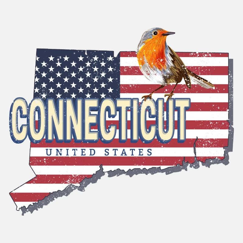Connecticut États-Unis Carte rétro