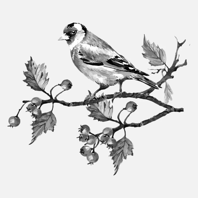 Oiseau