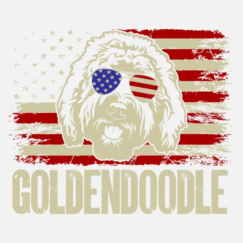 Goldendoodle Doodle Hund