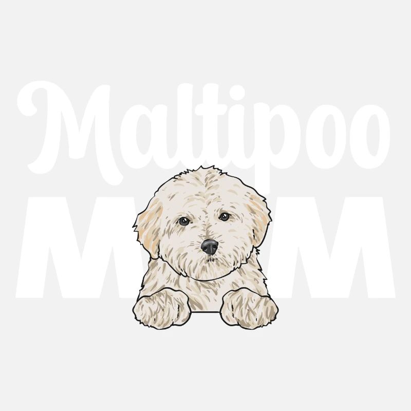 Maltipoo Dog