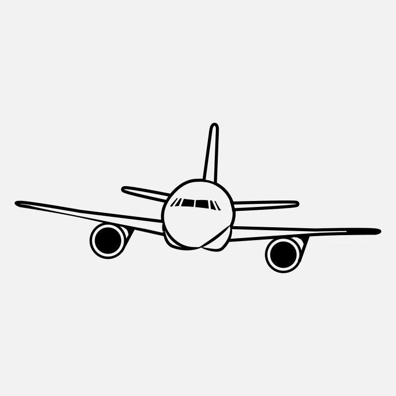 fly Airplane