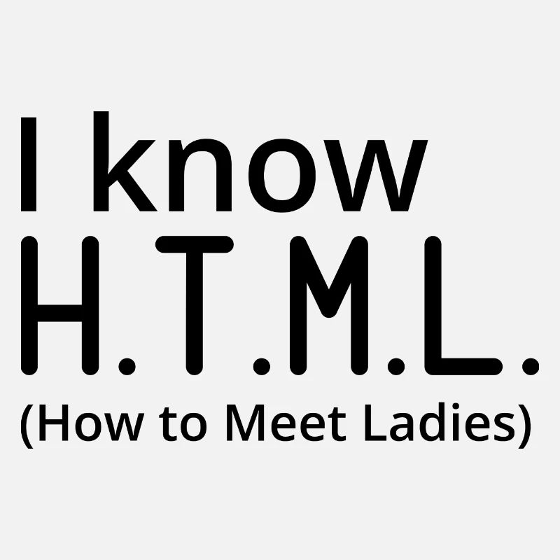 I Know HTML How To Meet Ladies Programmer Computer