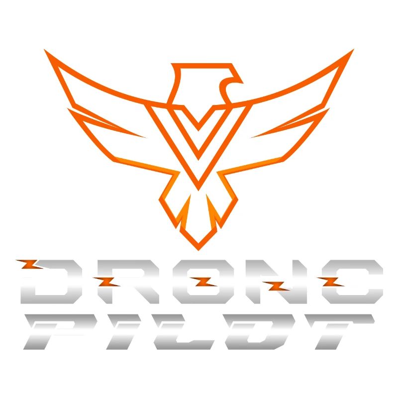 Drone Drones Drone Flight Drone Pilot