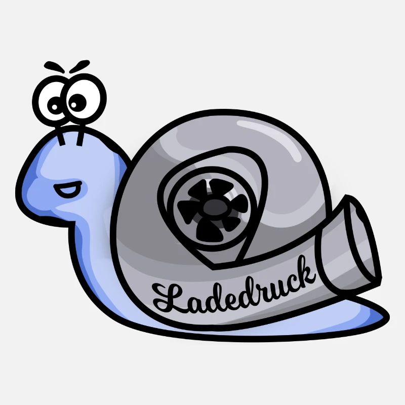 Turboschnecke Hellblau