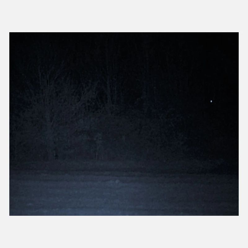 Creepy creature in the forest