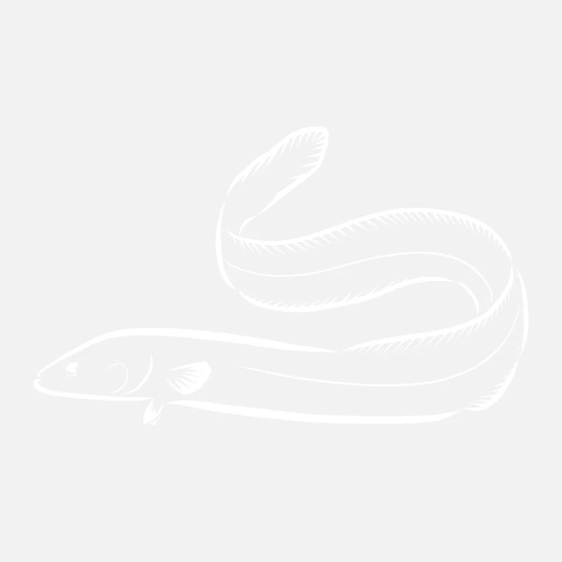 Aal