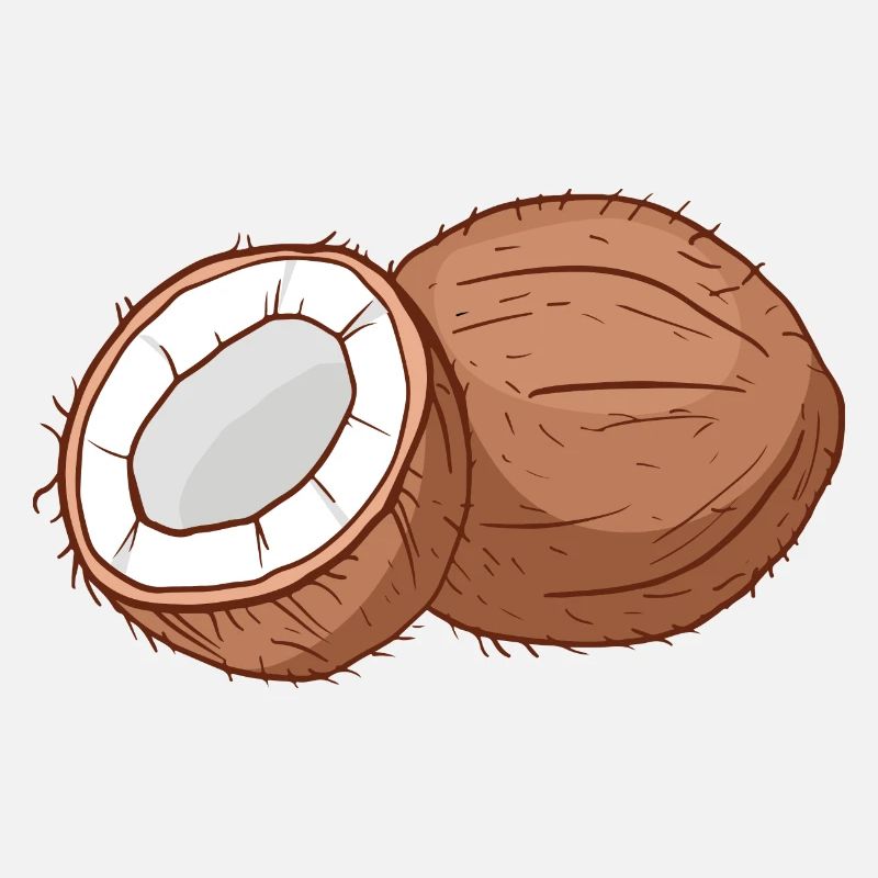 Cocotier Cocosque coconse cocons