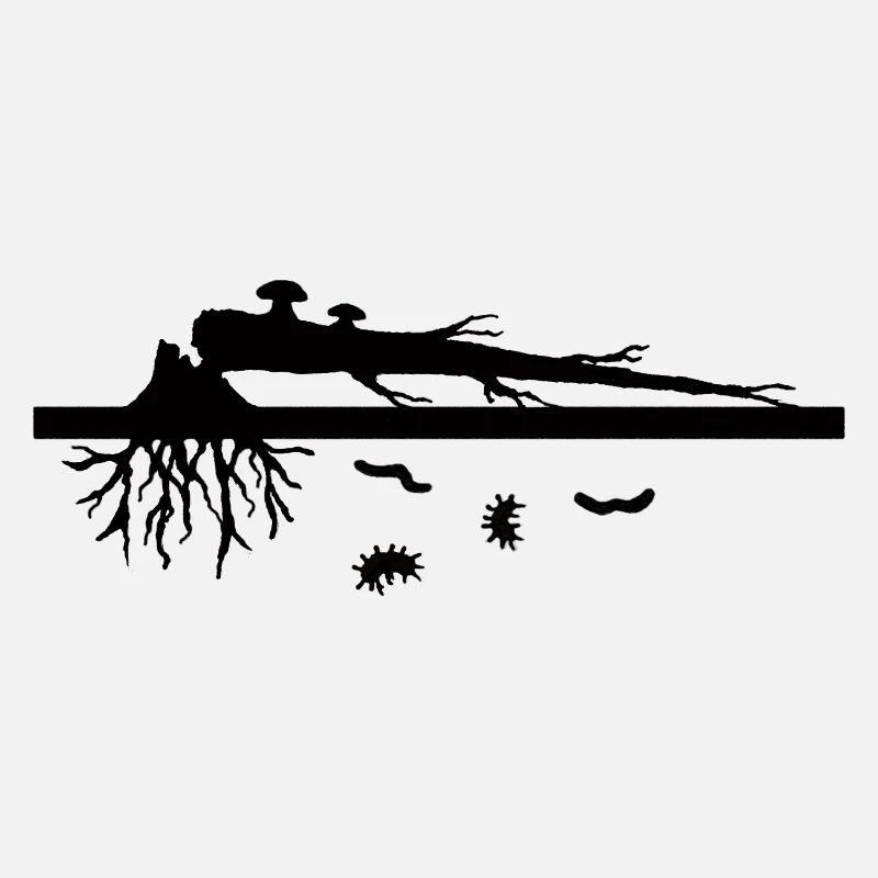 Fallen tree