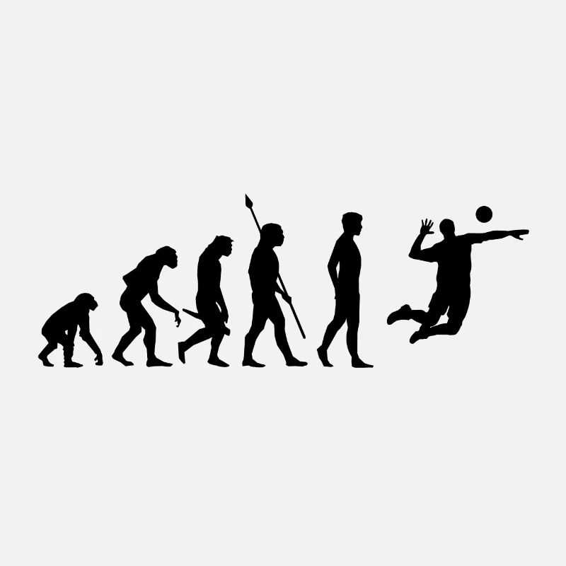 Volleyball Beach Volleyball Evolution
