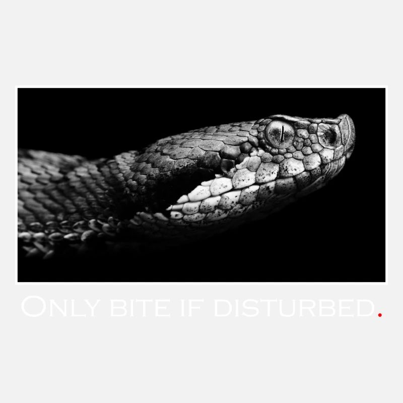 Only bite if