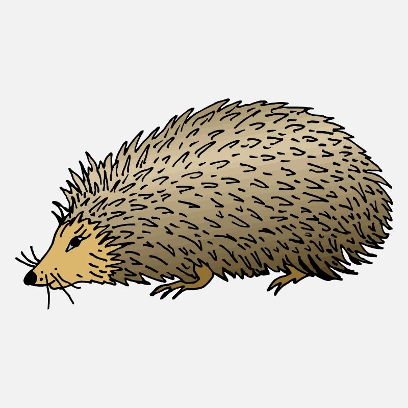 Hedgehog