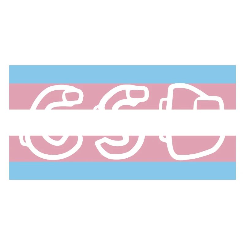 Drapeau de la fierté trans CSD