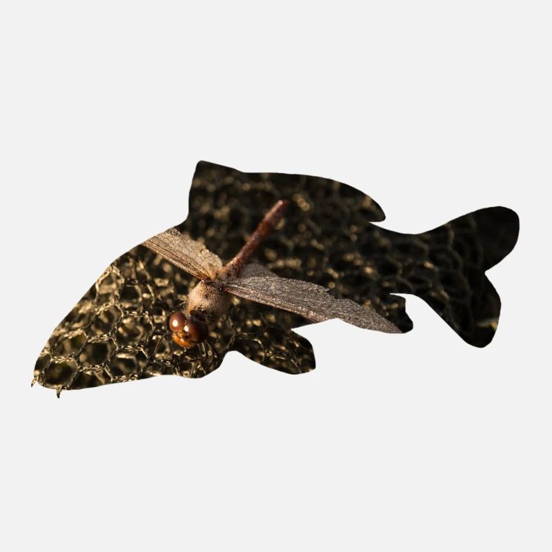 Karpfen - Libelle