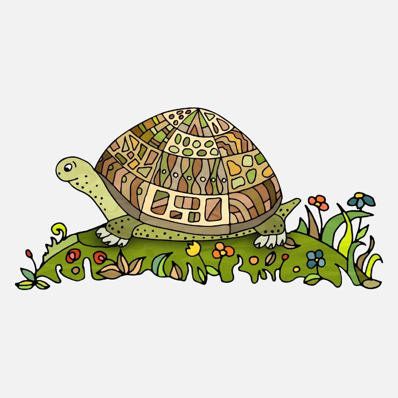 Tortoise