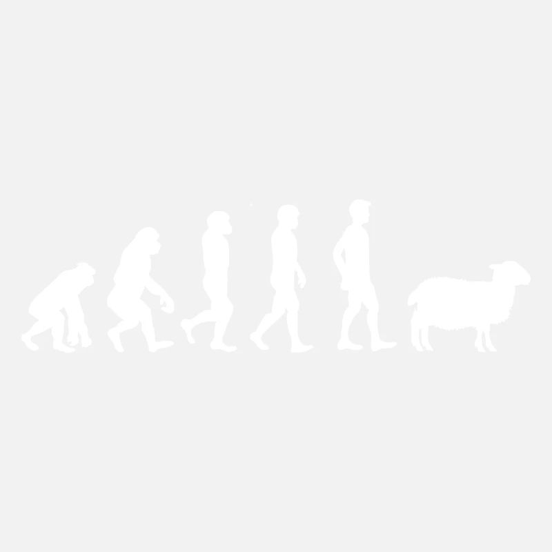 Evolution mouton