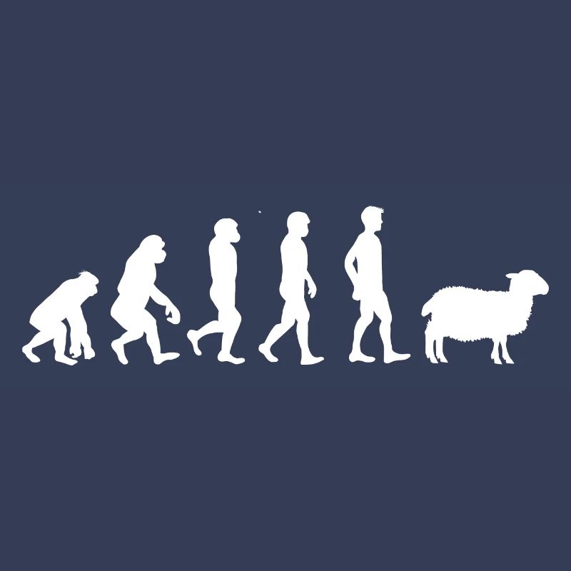 Evolution mouton