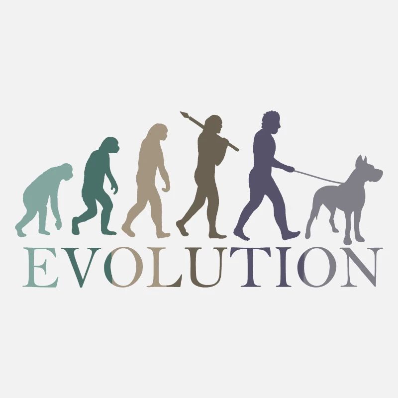 L’évolution du dogue allemand