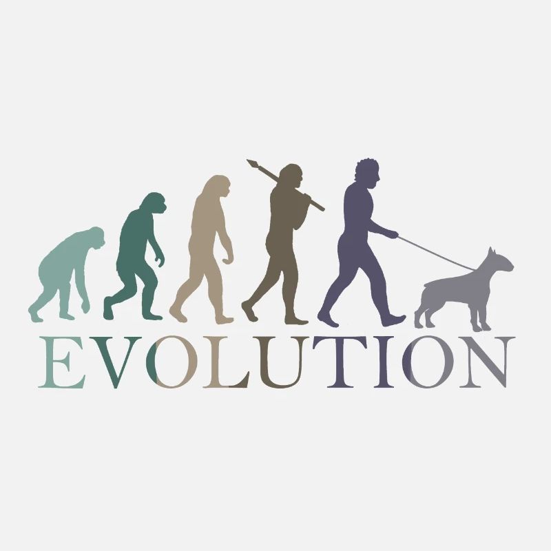 L’ÉVOLUTION DU BULL TERRIER