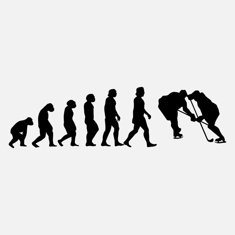 l'évolution du hockey