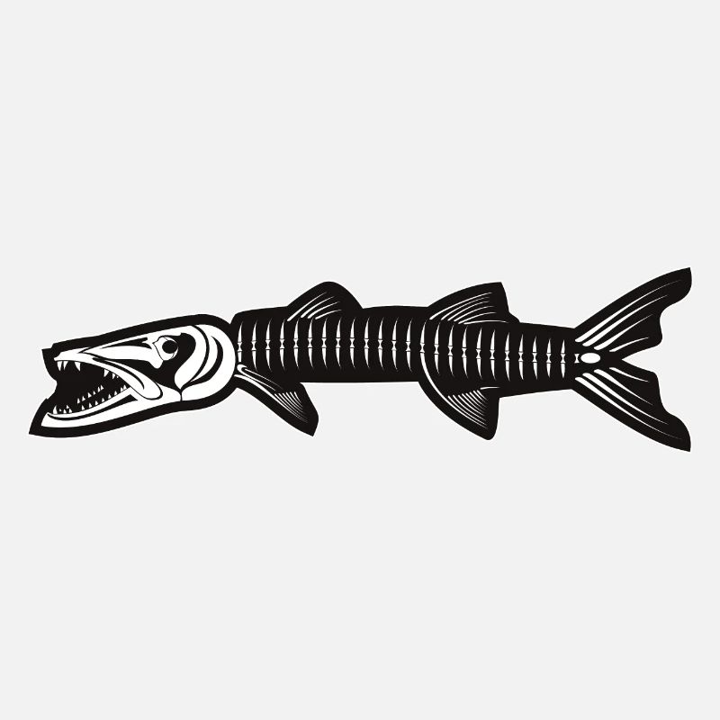 Squelette de Barracuda
